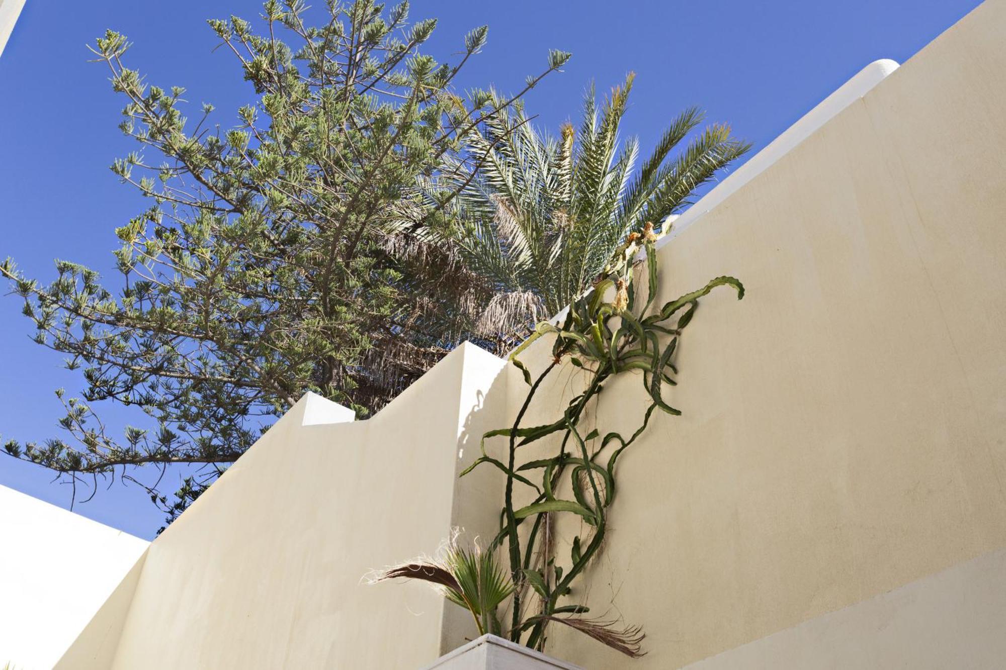 Tavira Historical Center Apartments Exteriör bild